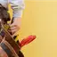 Handyman repair service in Sioux Falls, SD for home fixes and improvements