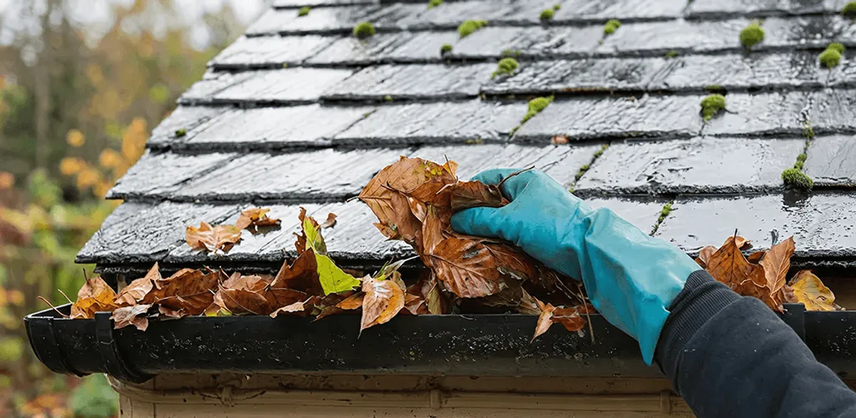 Gutter cleaning technician clearing wet leaves from roof gutters in Sioux Falls, SD
